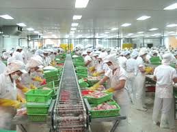 アセアン水産物連盟のウエブサイトが開設される